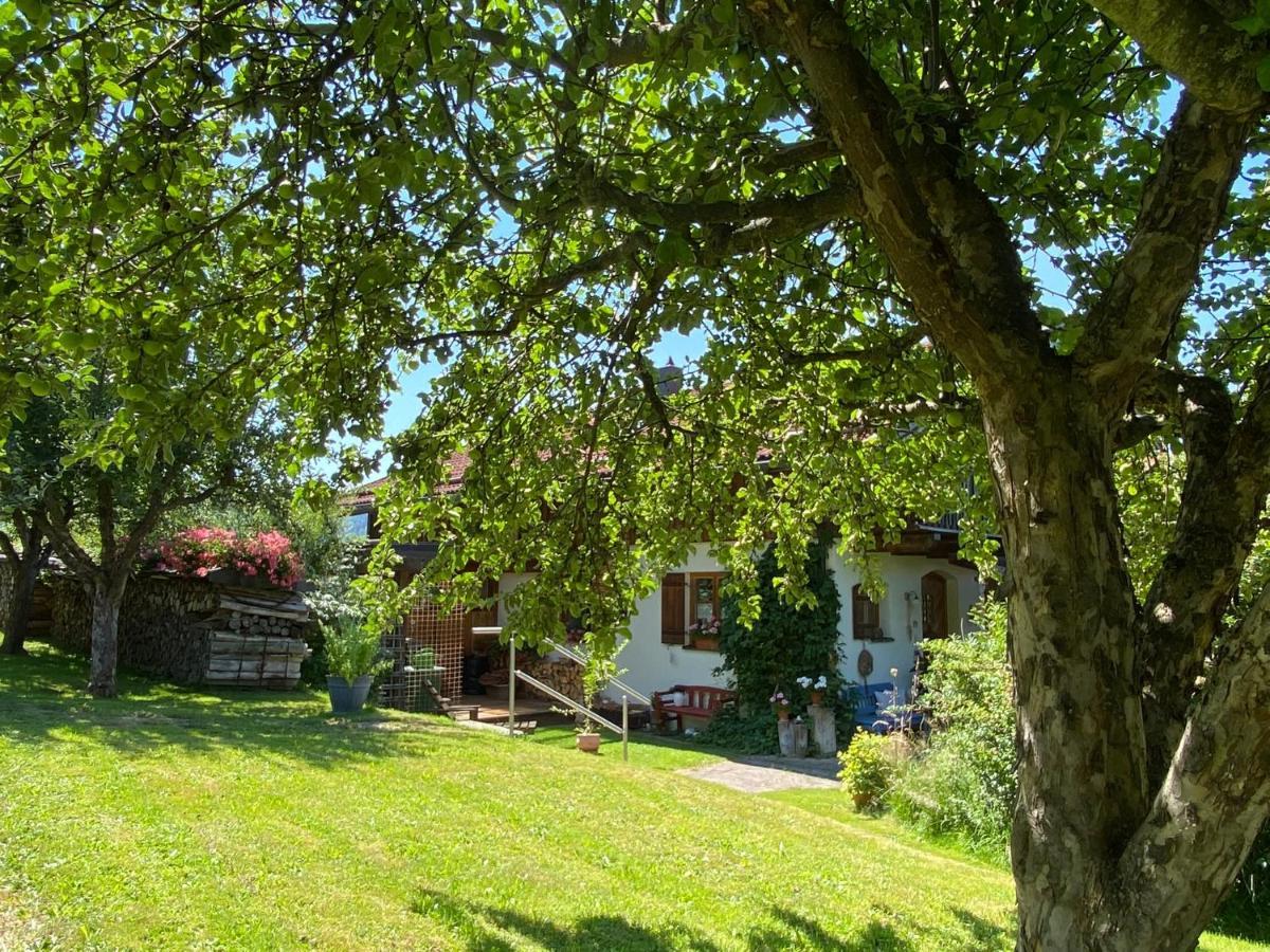 Haus Wiesengrund فراوناو المظهر الخارجي الصورة